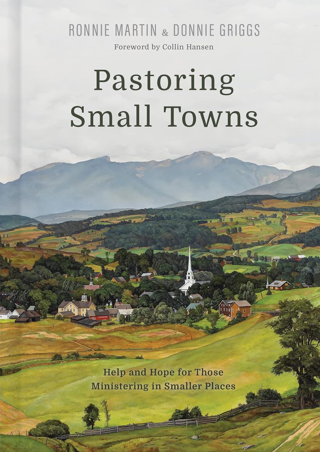 Pastoring Small Towns book cover
